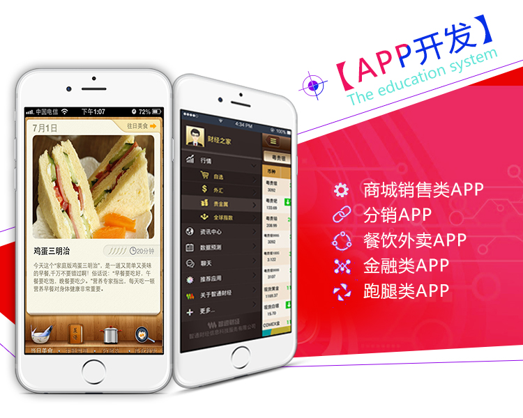 行業軟件開發 行業軟件開發