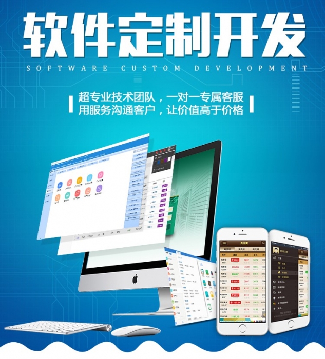 1605426904499831 行業軟件開發